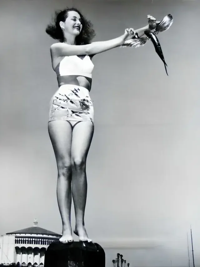 American beauty  in 1947